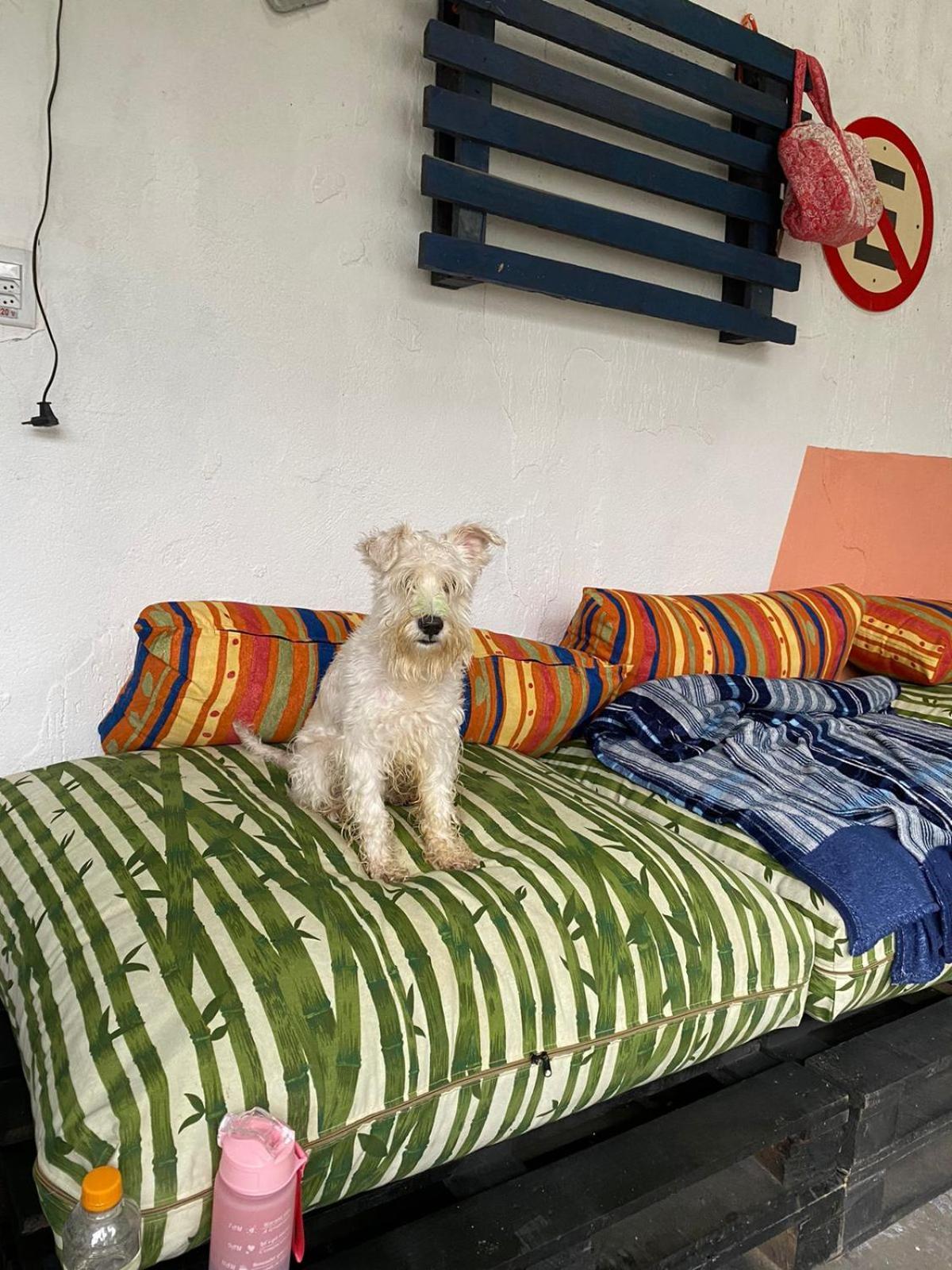 Casa Cantinho Secreto Holiday home *